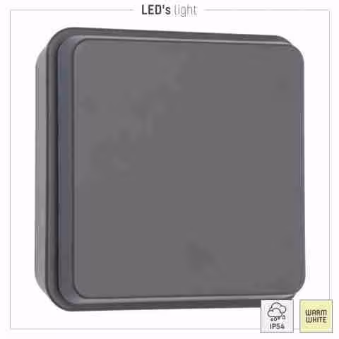 LED's Light BERLIJN buitenwandlamp: Verstelbaar, IP44-classificatie, donkergrijze afwerking.